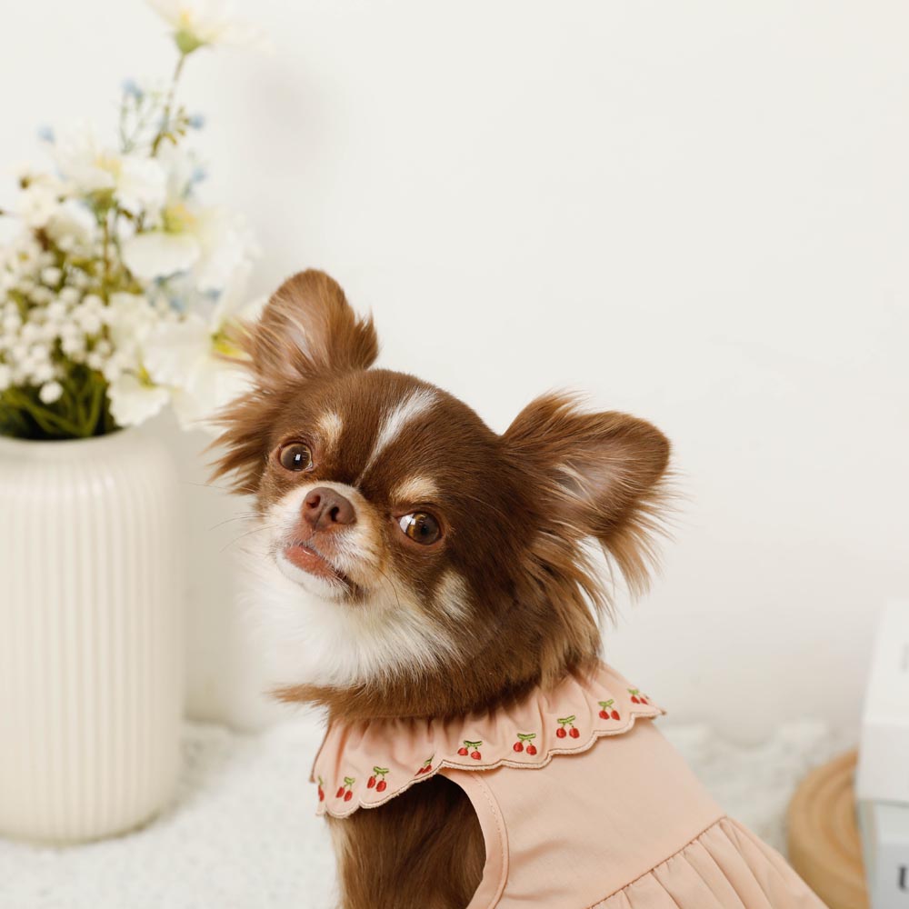 Cool cherry embroidery collar frill dress