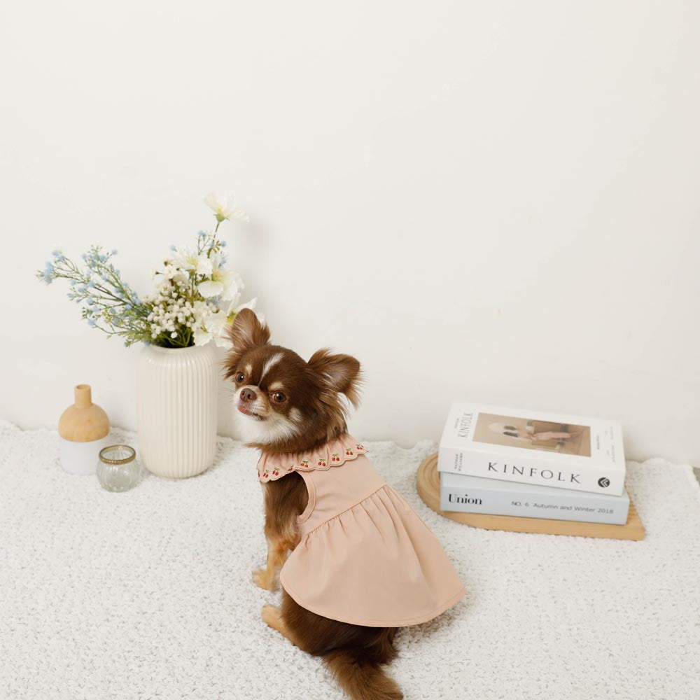 Cool cherry embroidery collar frill dress