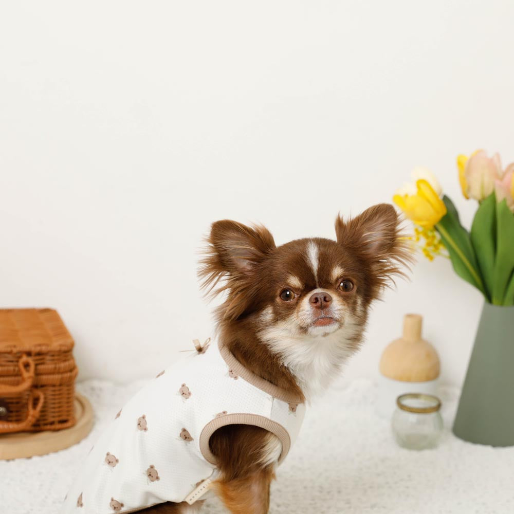 冷感メッシュくまさんプリントノースリーブトップス【保冷剤対応】