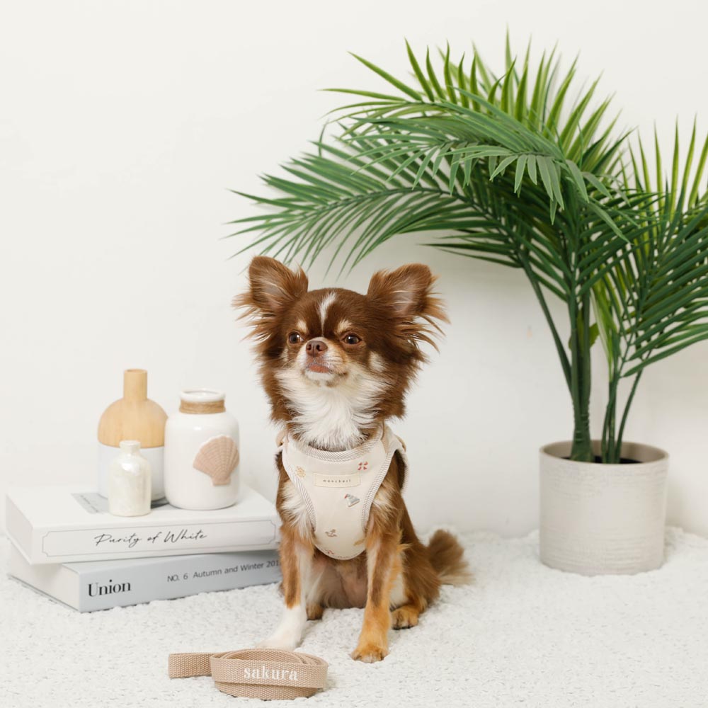 冷感マリン柄刺繍ハーネス+リードSET【名入れ刺繍対応】