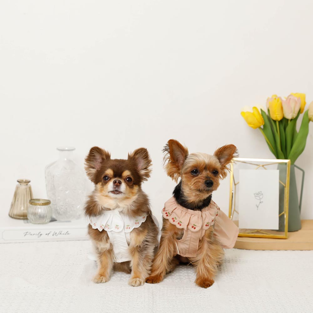 Cool cherry embroidery collar frill dress