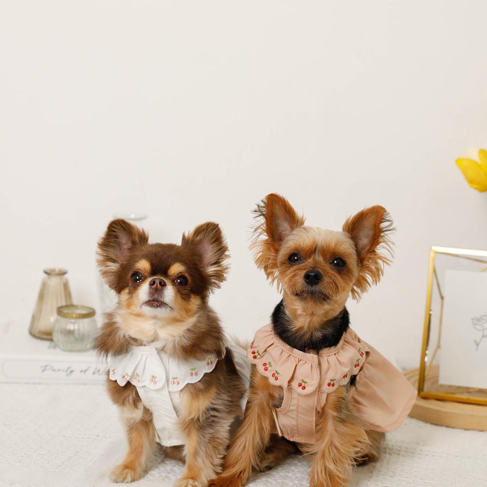 Cool cherry embroidery collar frill dress