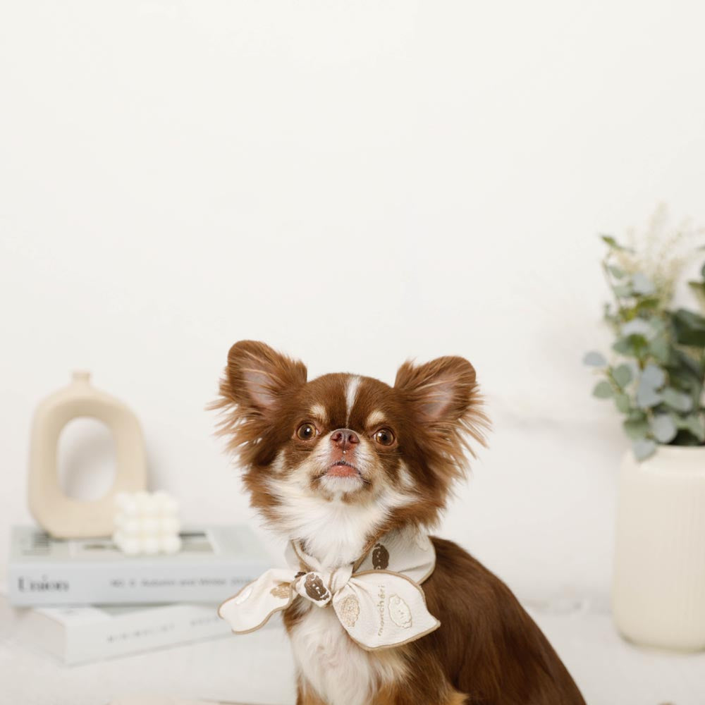 Dog bandana [with ice pack]