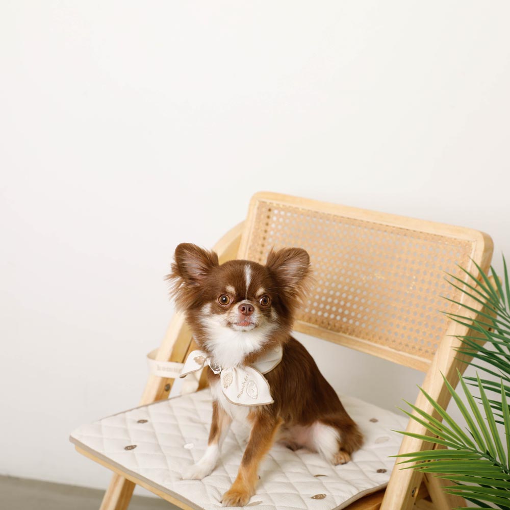 Dog bandana [with ice pack]