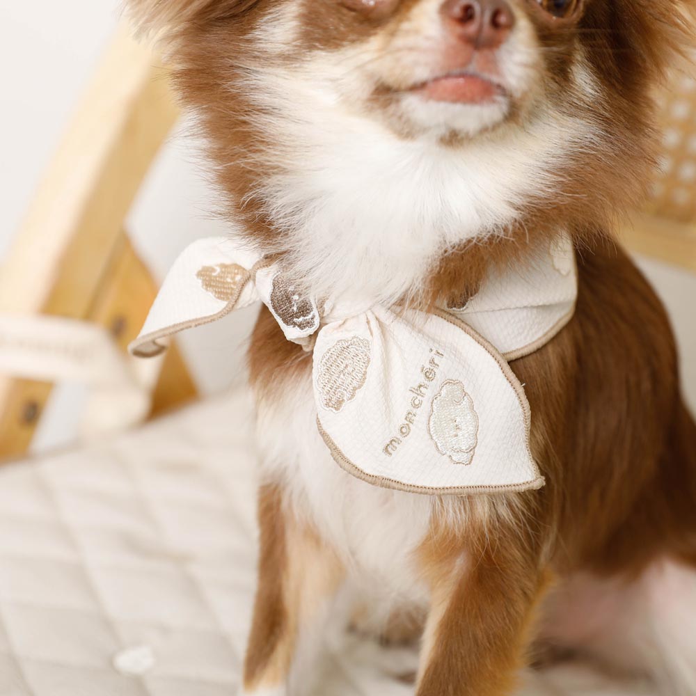 Dog bandana [with ice pack]