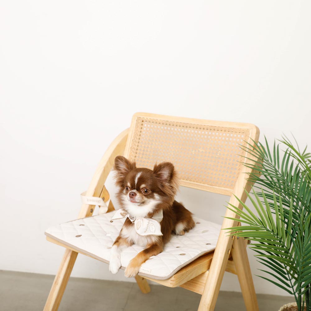 Dog embroidery quilting cafe mat [Compatible with name embroidery]