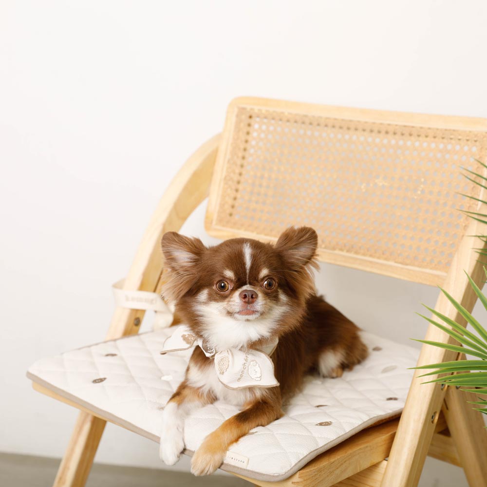 Dog bandana [with ice pack]