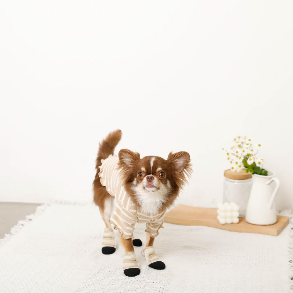 neoprene pet shoes
