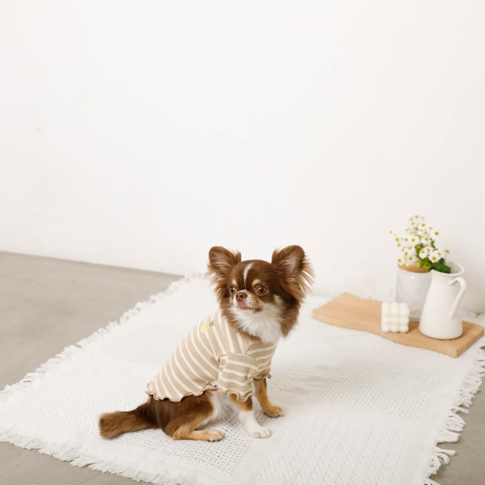Cool border mellow fruit embroidery tops