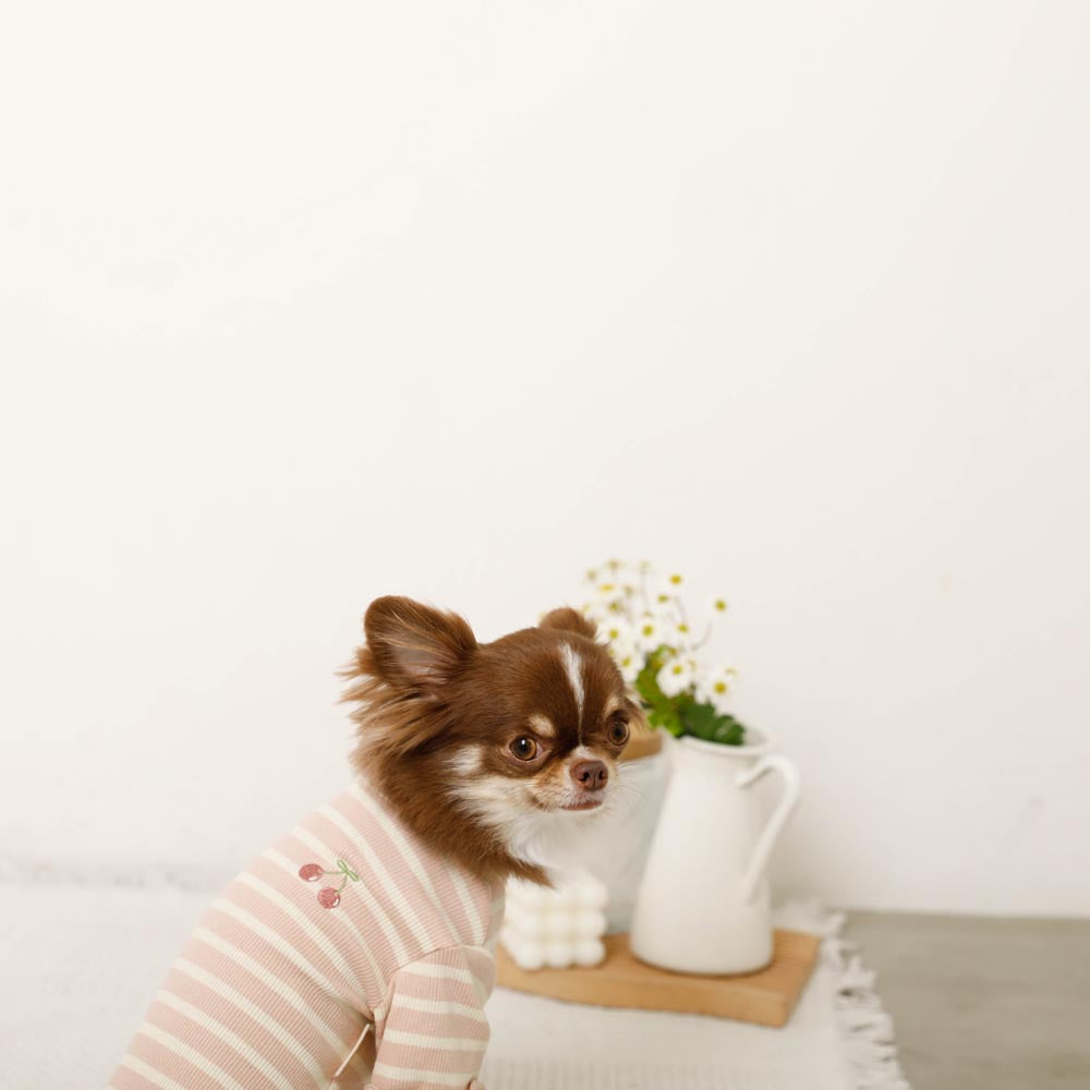Cool border mellow fruit embroidery tops