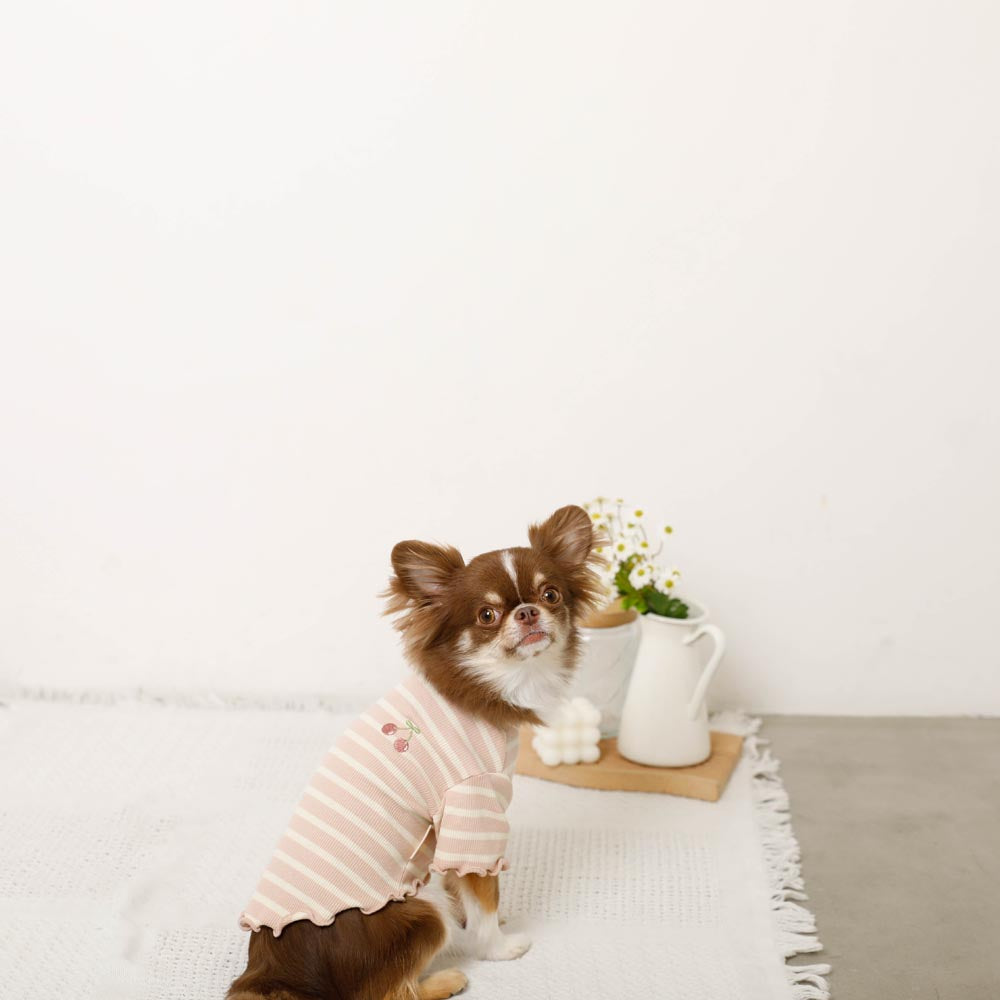 Cool border mellow fruit embroidery tops