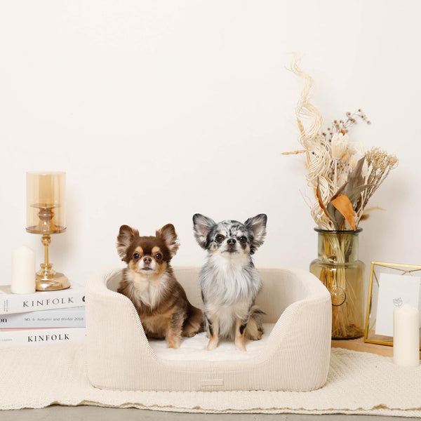 コーデュロイスクエアクッションベッド