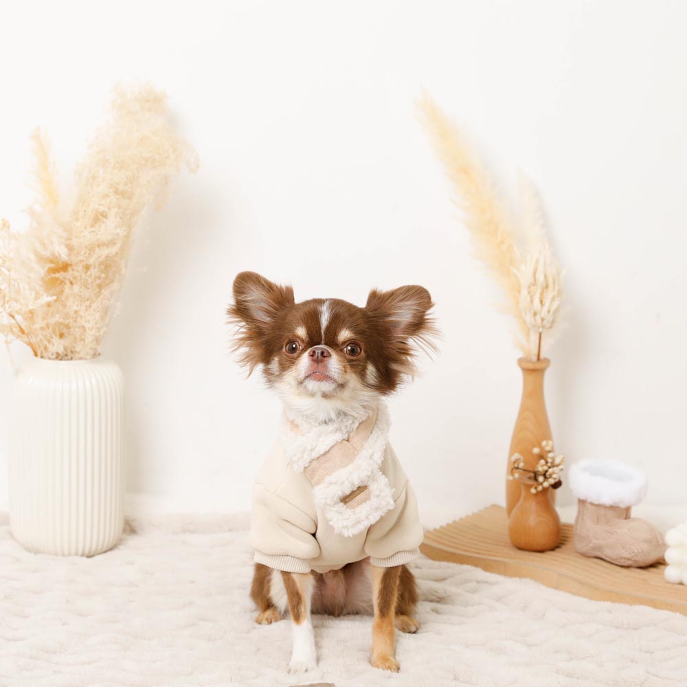 Mouton muffler [Compatible with name embroidery]