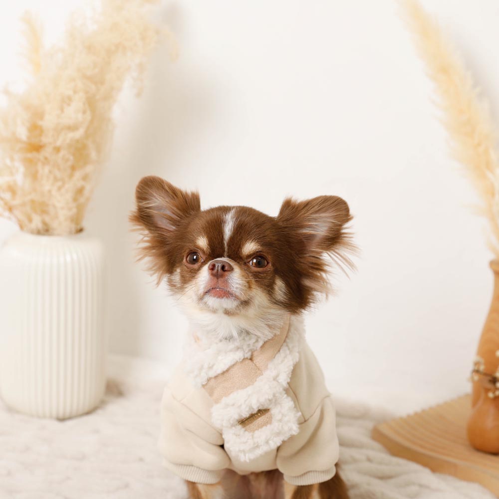 Mouton muffler [Compatible with name embroidery]