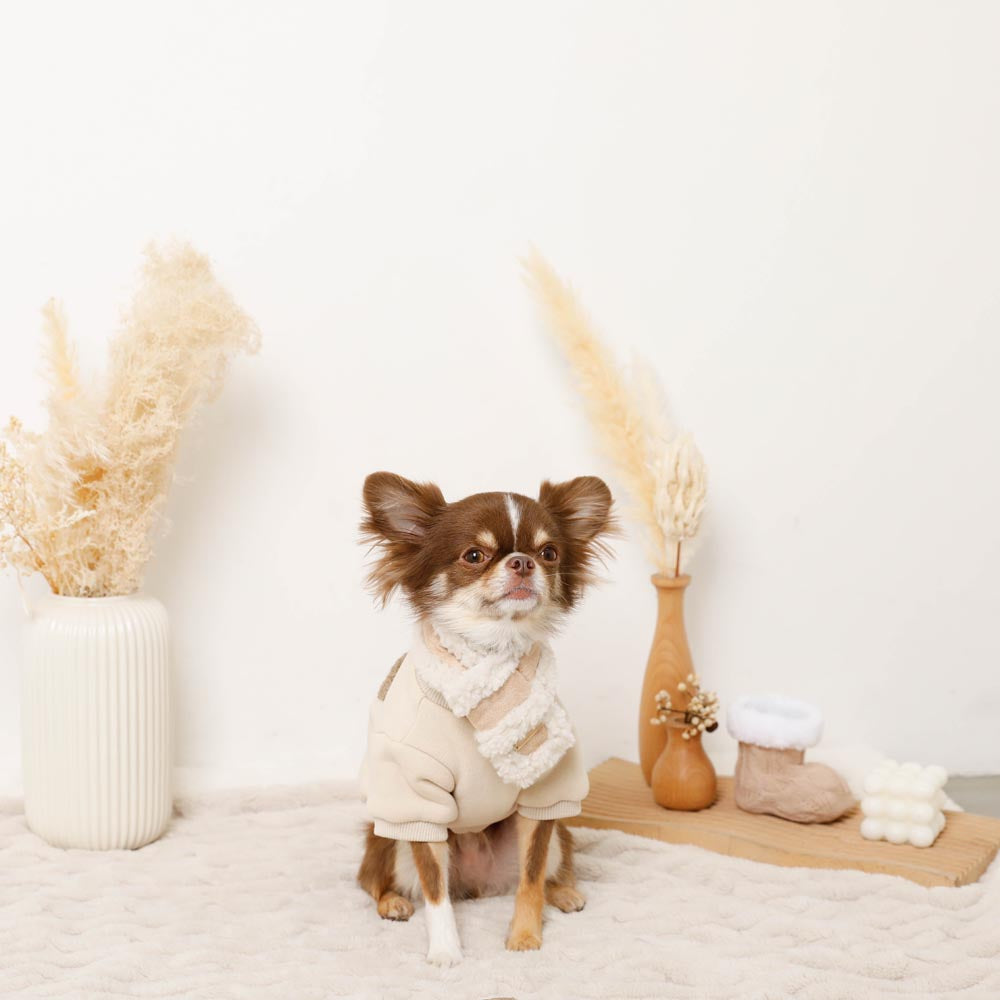Mouton muffler [Compatible with name embroidery]