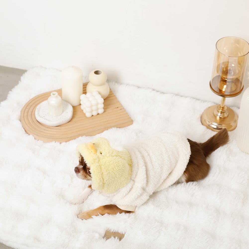 小鸡先生bohood派克