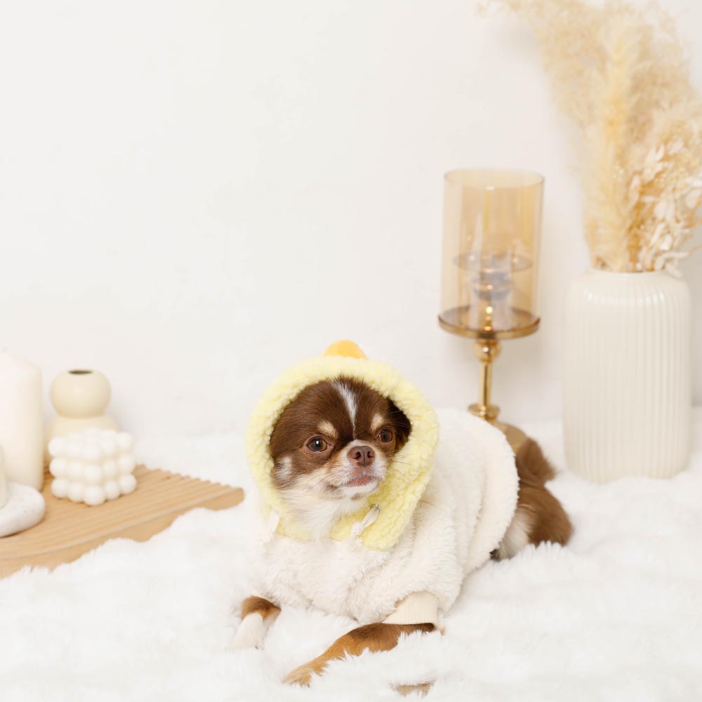 小鸡先生bohood派克