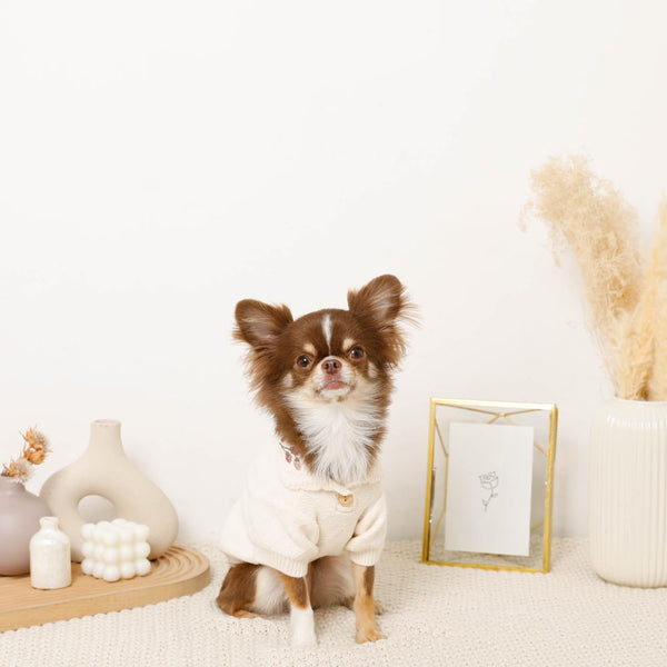 strawberry embroidery collar knit tops