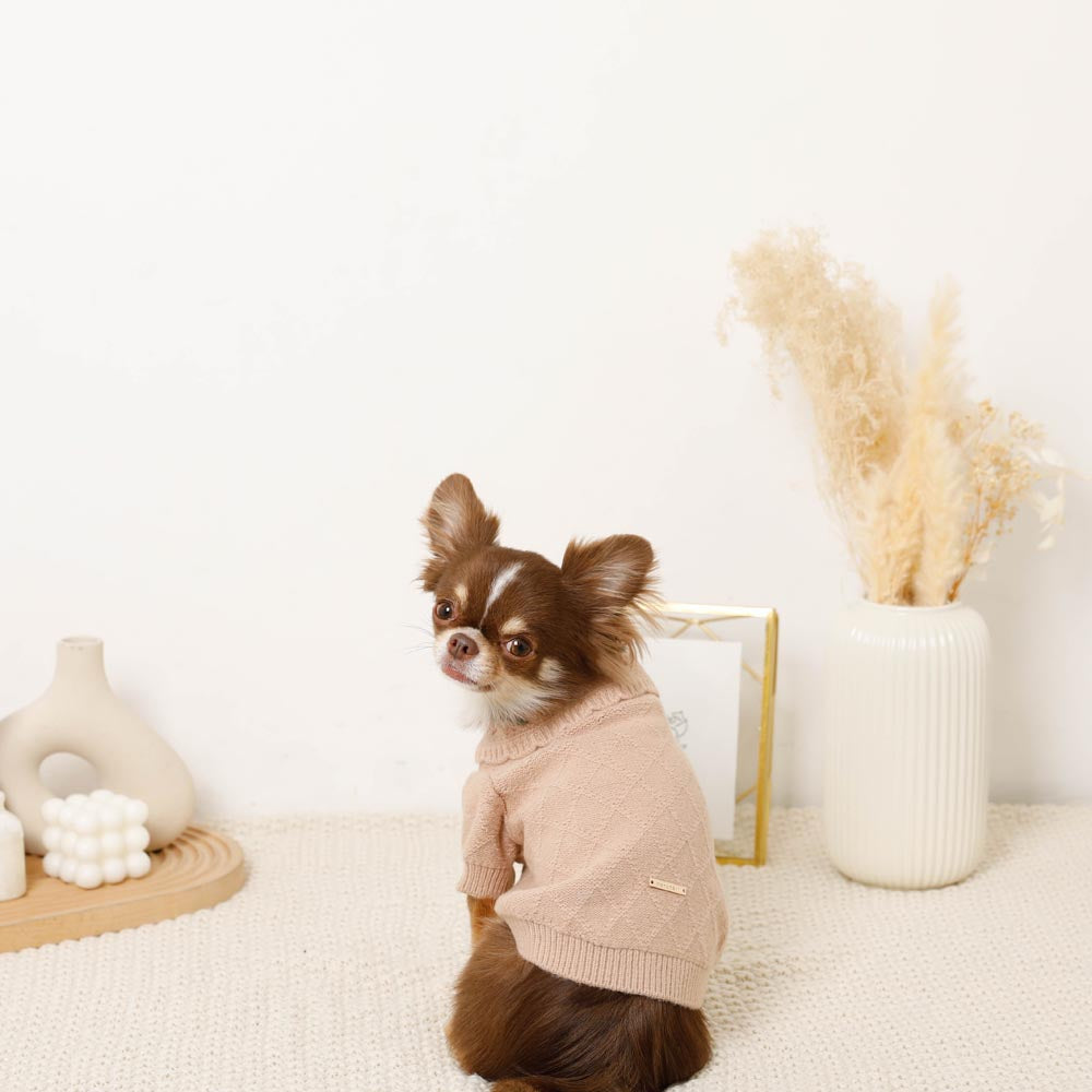strawberry embroidery collar knit tops