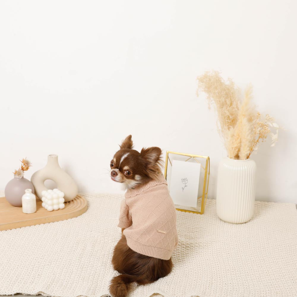 strawberry embroidery collar knit tops