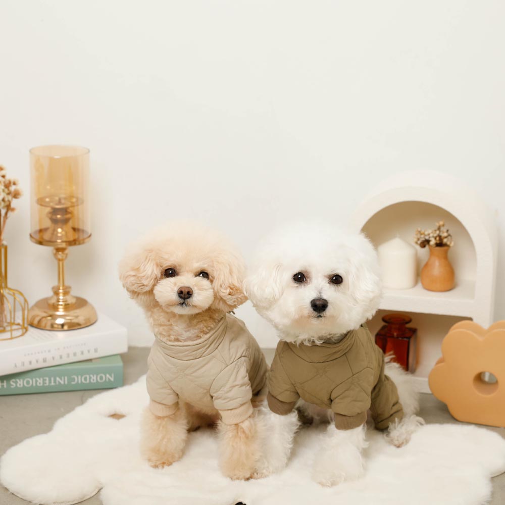 Star pattern quilted romper harness