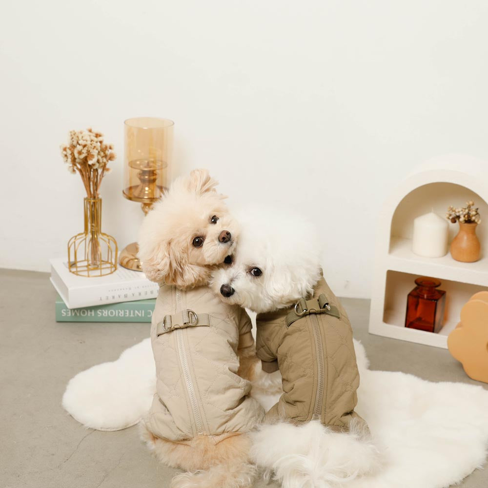 Star pattern quilted romper harness