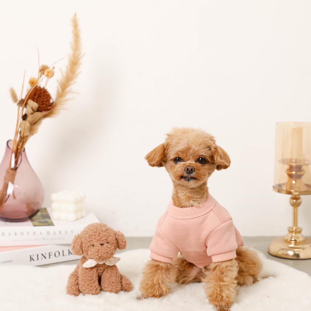 brown dog stuffed toy