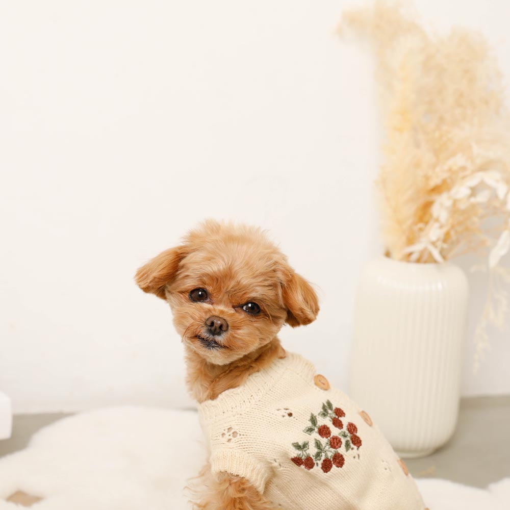 Brussels embroidery scalloped cardigan