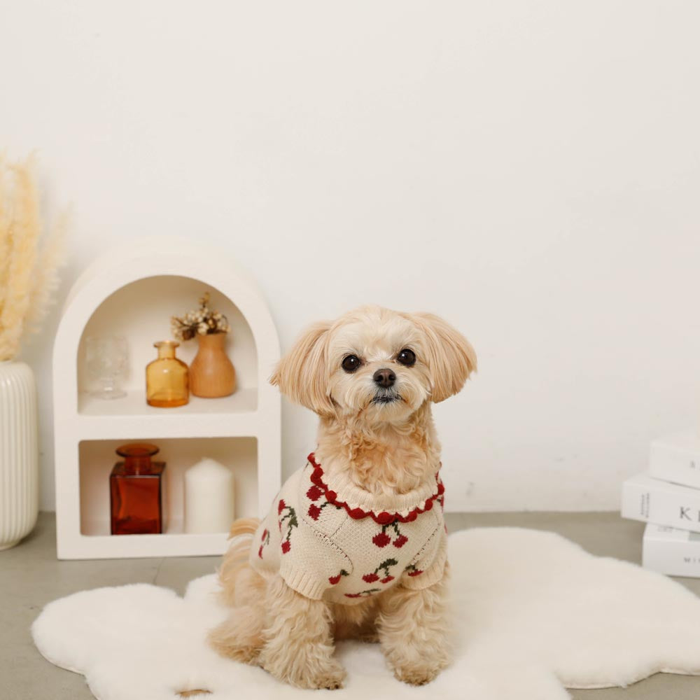 最終金額アトリエGGチェリー柄フリル犬服 フリル襟チェリーニットトップス