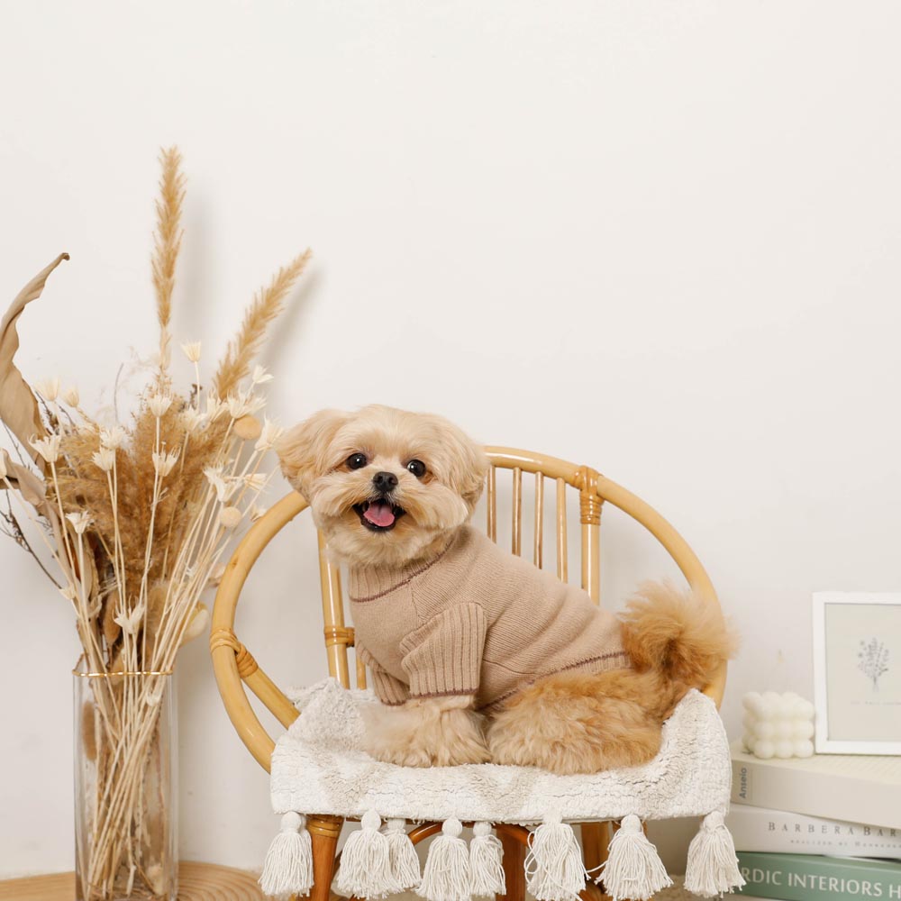 【完売品】モンシェリ　ワンピース2点 ワンピース | ドッグウェア・犬服通販 - monchéri(モンシェリ)