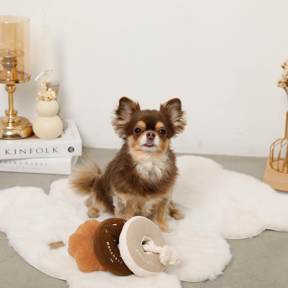 nosework donut shaped toy
