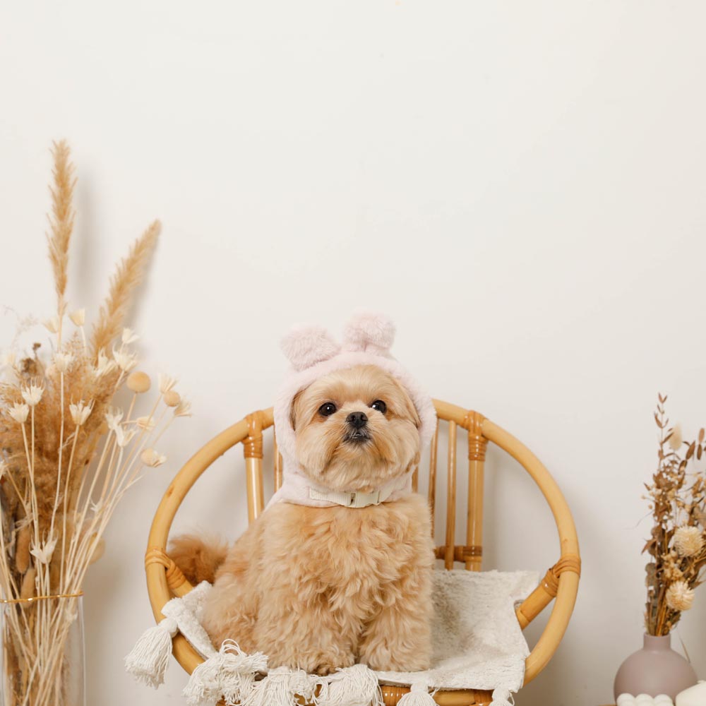 Hood fur harness with rabbit ears