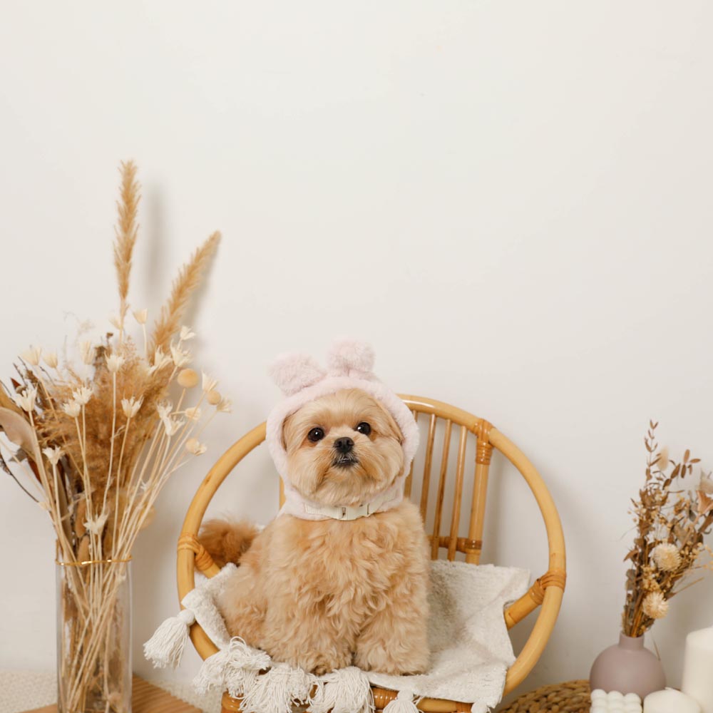 Hood fur harness with rabbit ears