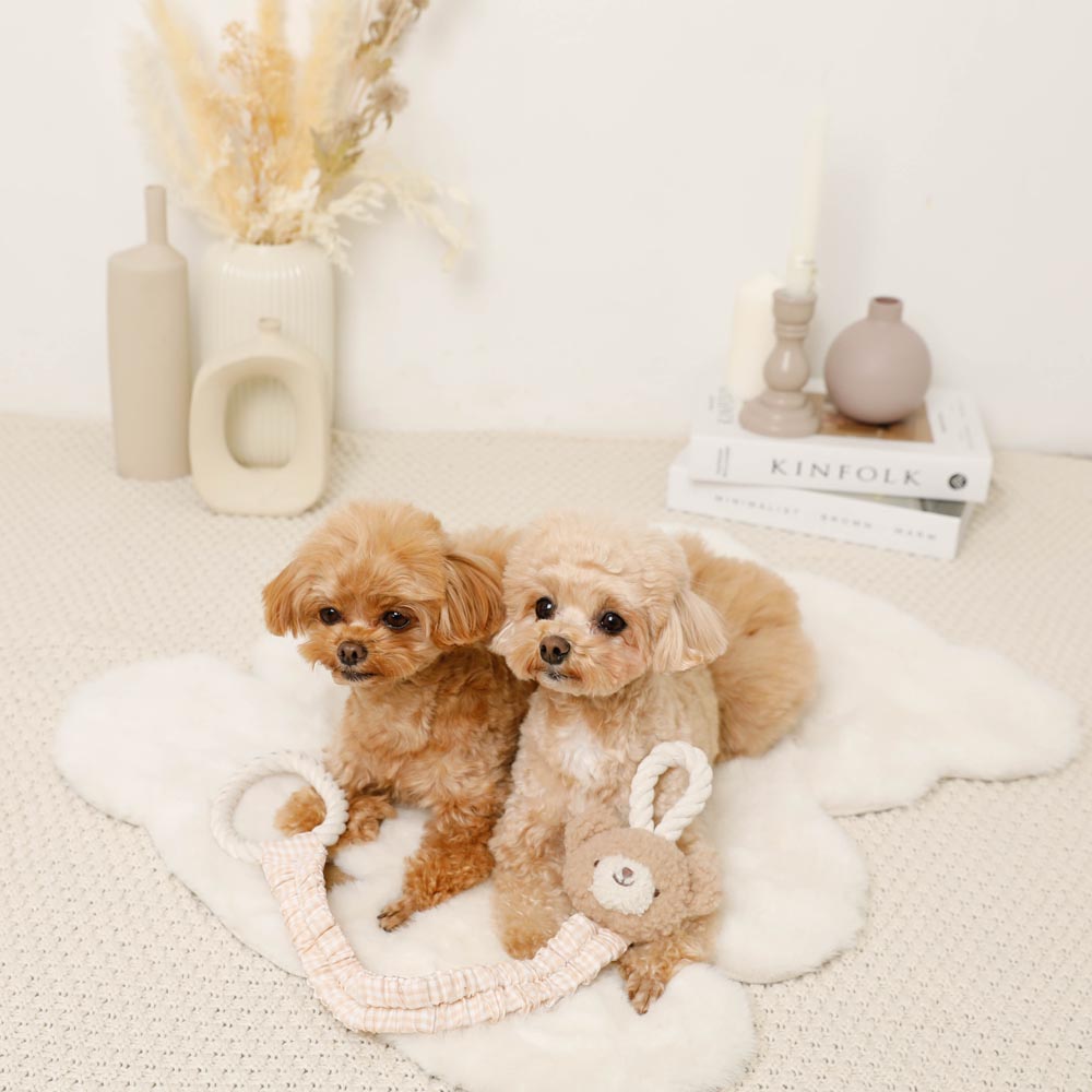 Bear pulling rope toy