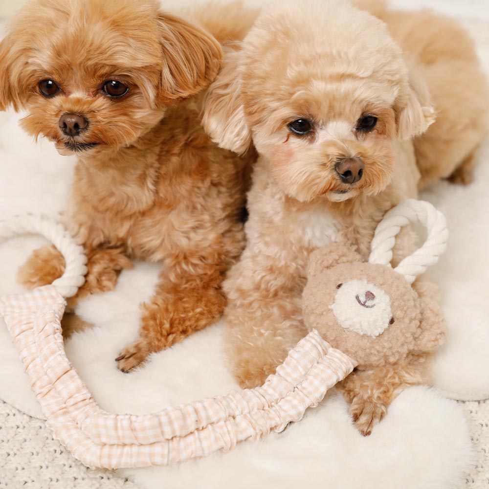 Bear pulling rope toy