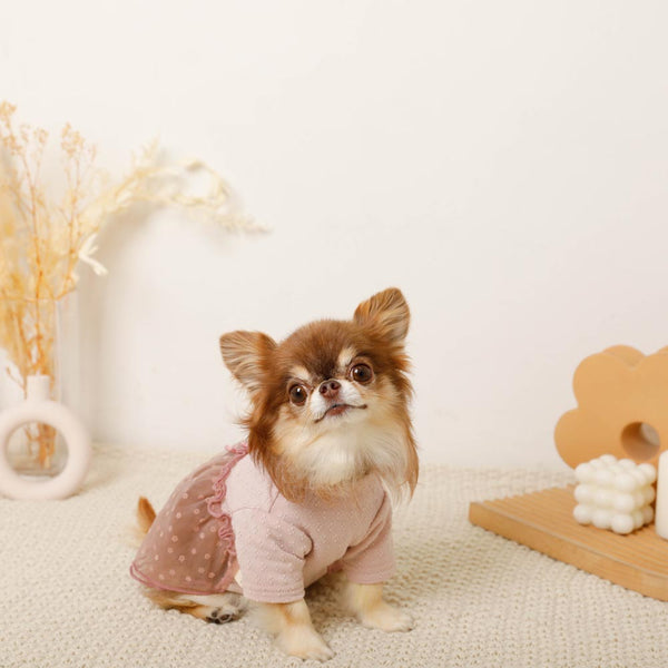 レースドッキングワンピース