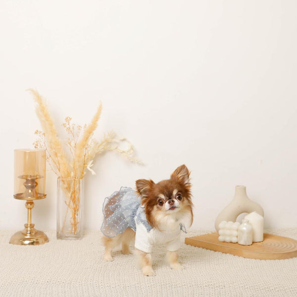 新品　犬服　モンシェリ　春夏　Sサイズ ワンピース 楽天市場】【LINE追加10%OFFクーポン】moncheri モンシェリ 犬