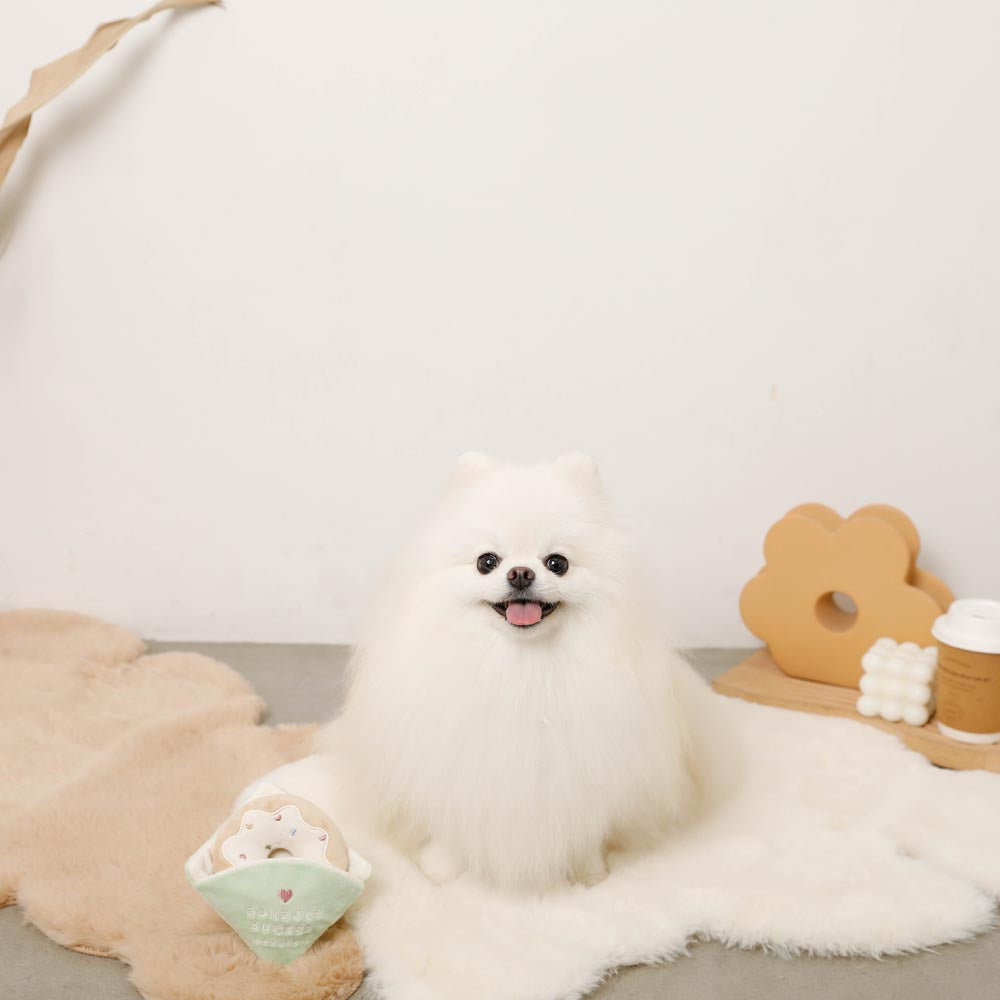 ring donut toy