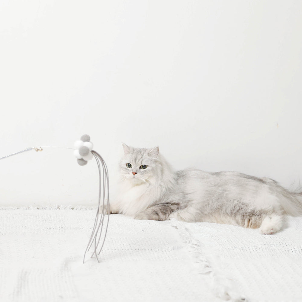 Suede ribbon cat litter with pompom
