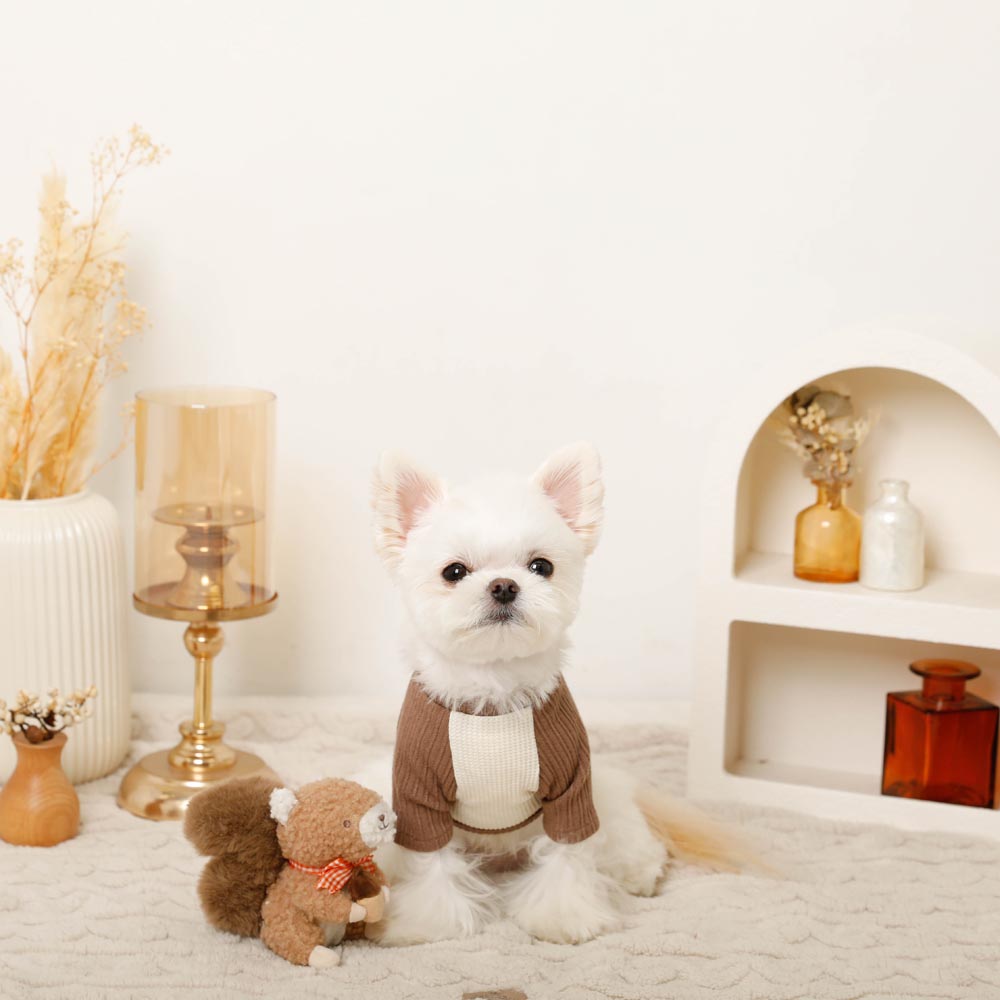 Squirrel gingham check ribbon plush toy