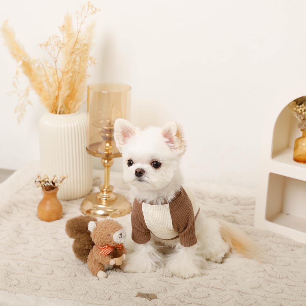 Squirrel gingham check ribbon plush toy