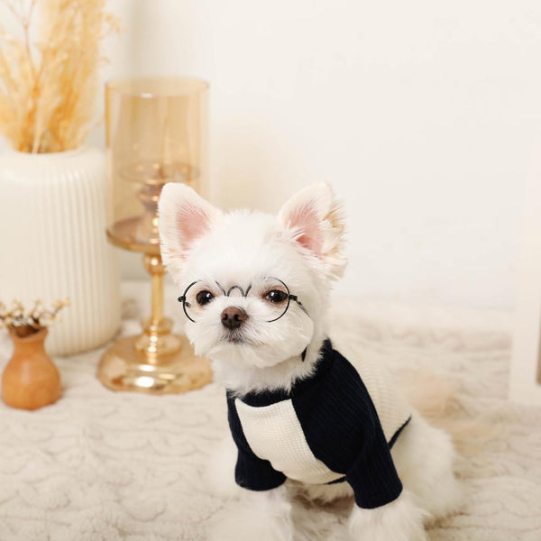 松鼠圖案刺繡雙色插肩T卹