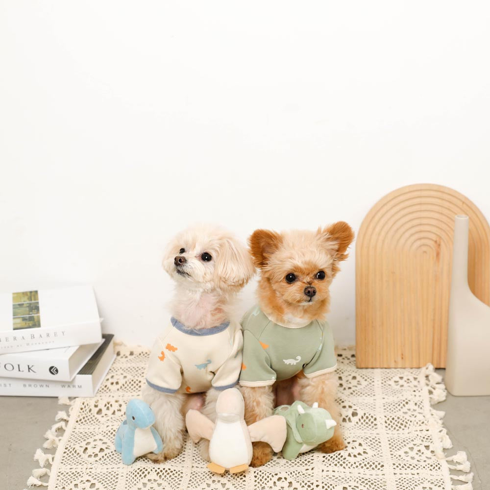 Dinosaur friends toy SET