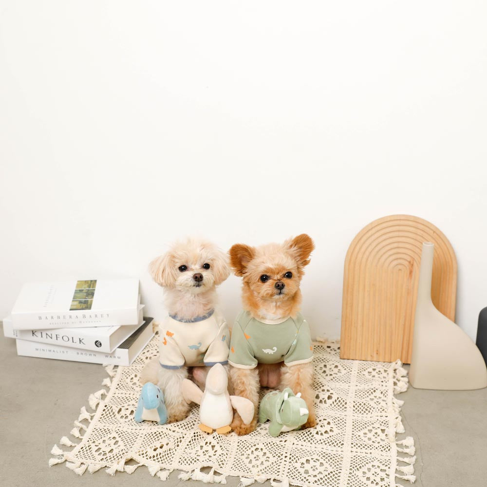 Dinosaur friends toy SET