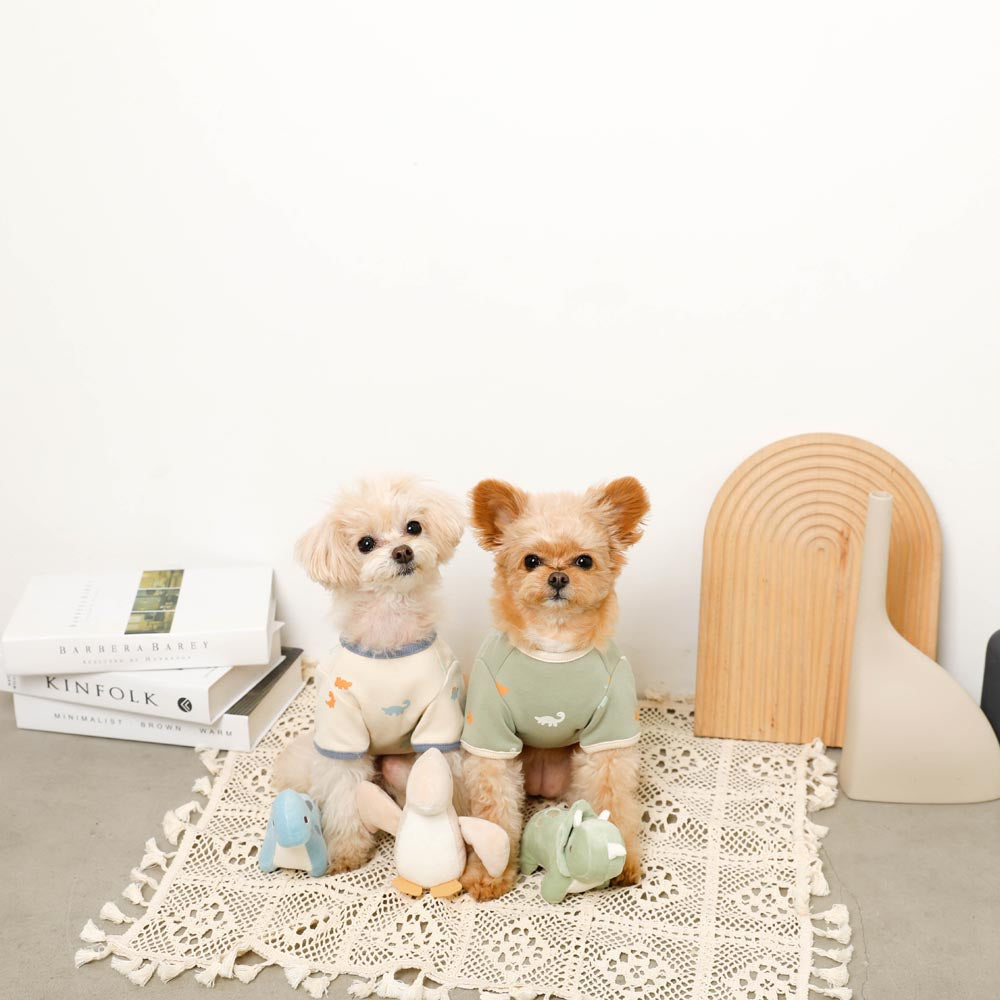 Dinosaur friends toy SET