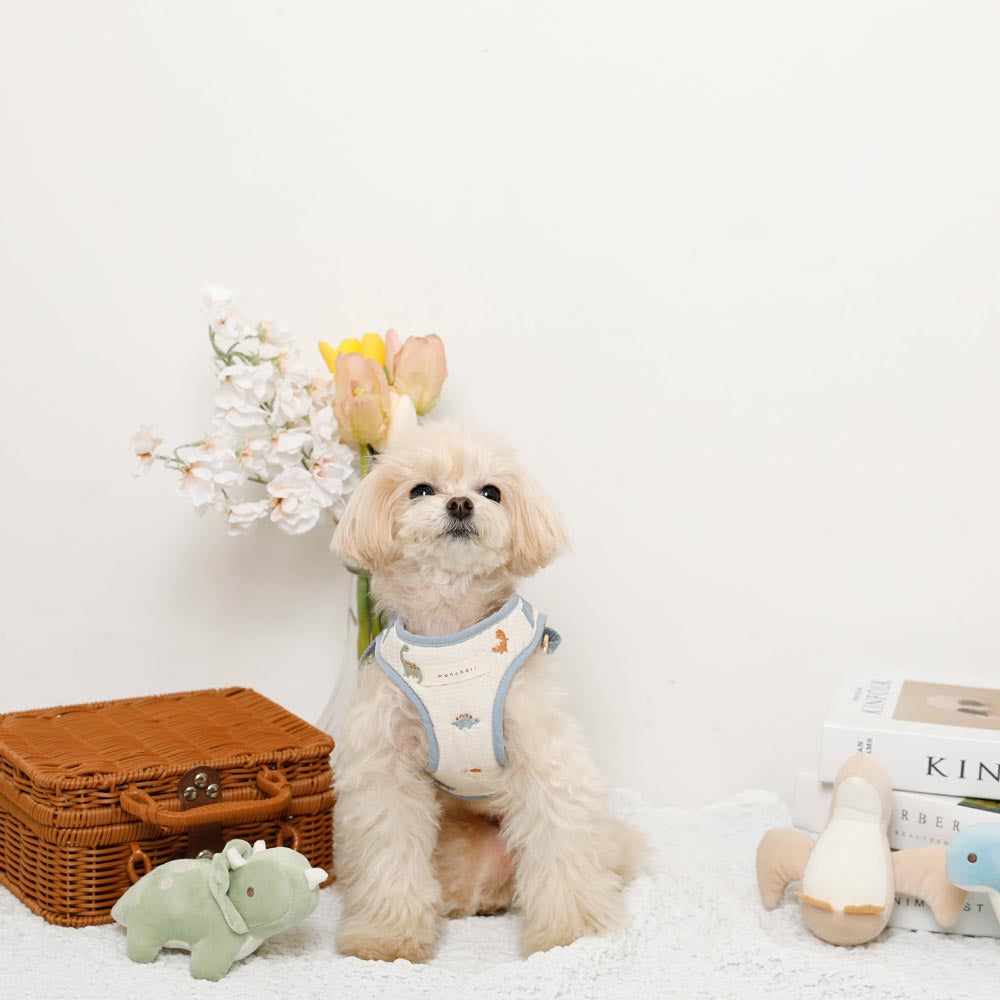 Dinosaur pattern embroidery harness + lead set [Name embroidery available]
