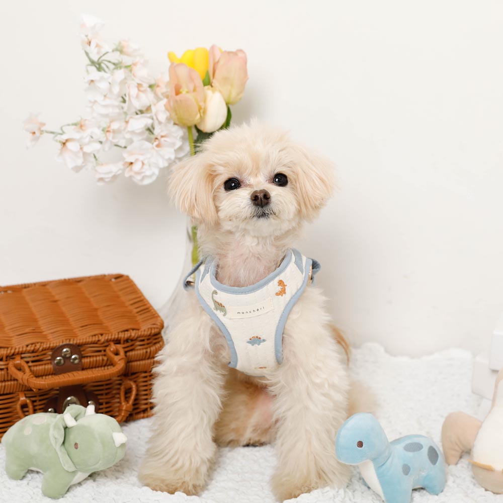 Dinosaur pattern embroidery harness + lead set [Name embroidery available]