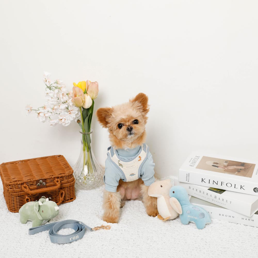 Dinosaur pattern embroidery harness + lead set [Name embroidery available]