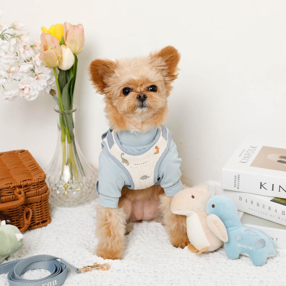 Dinosaur pattern embroidery harness + lead set [Name embroidery available]