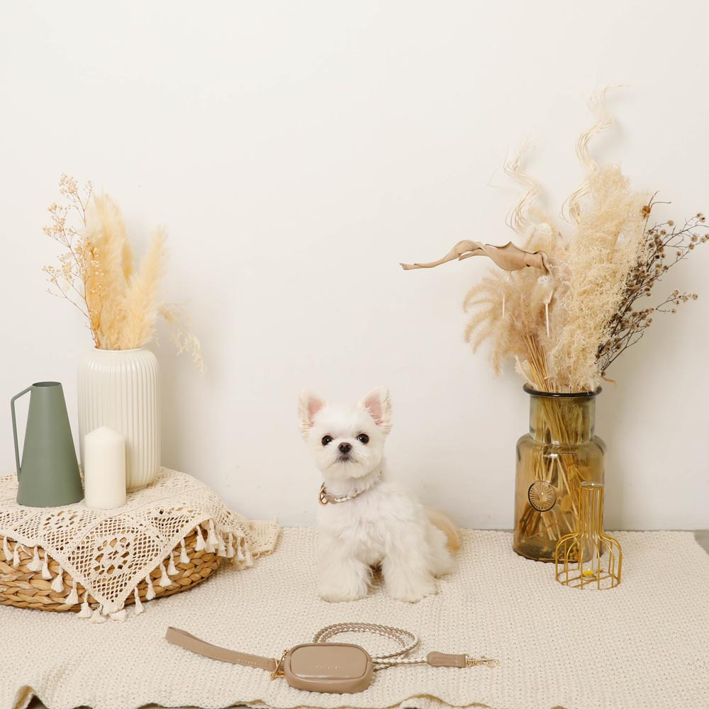 Faux leather mesh MIX color + lead SET